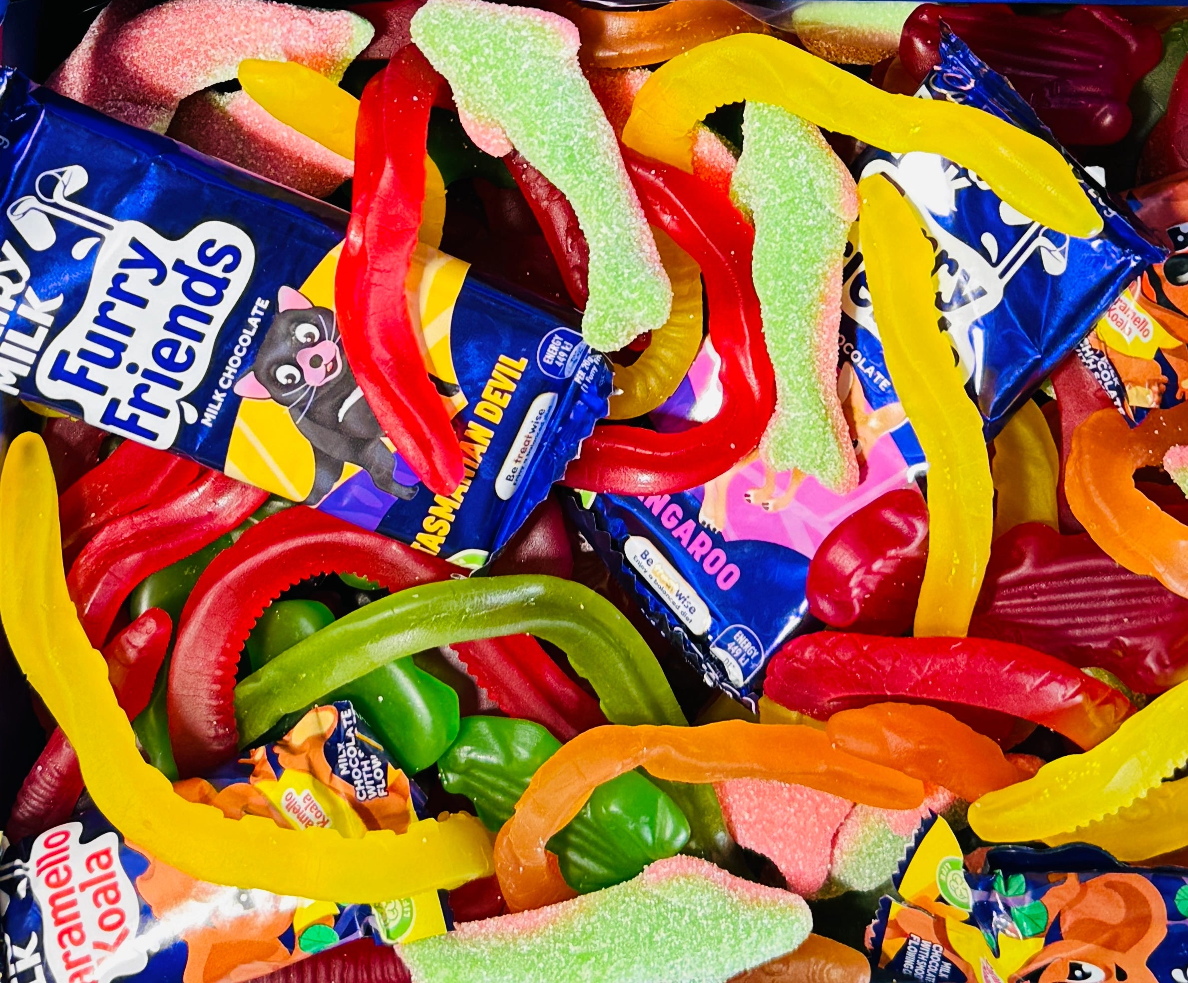 ANIMAL KINGDOM GIFT BOX